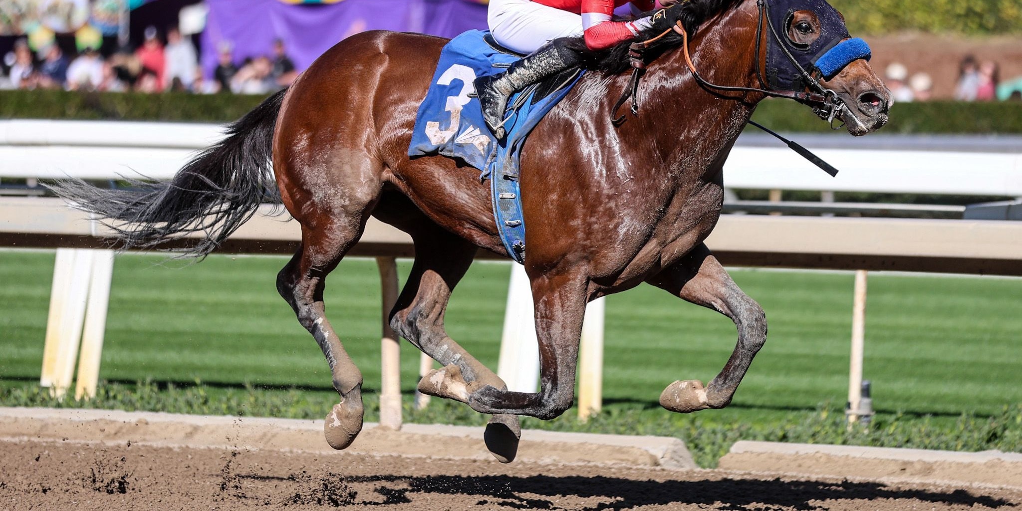 Secured Freedom broke his maiden on opening day at Santa Anita