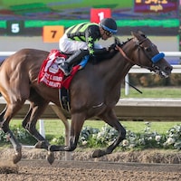 Seismic Beauty wired the Clement L. Hirsch at Del Mar