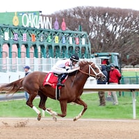 Seize the Night (Photo by Coady Media/Oaklawn Park)
