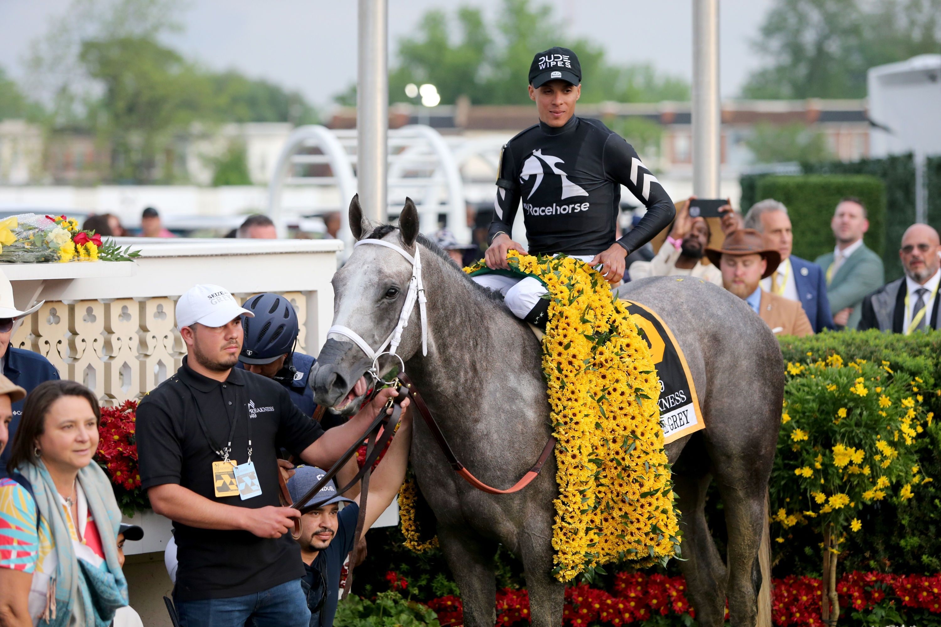 Seize the Grey (Photo by Horsephotos.com)