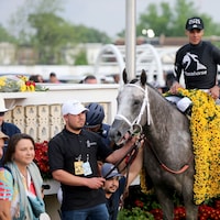 Seize the Grey (Photo by Horsephotos.com)