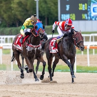 Self Improvement outduels heavy favorite Chikappa in the Korea Sprint (G3)