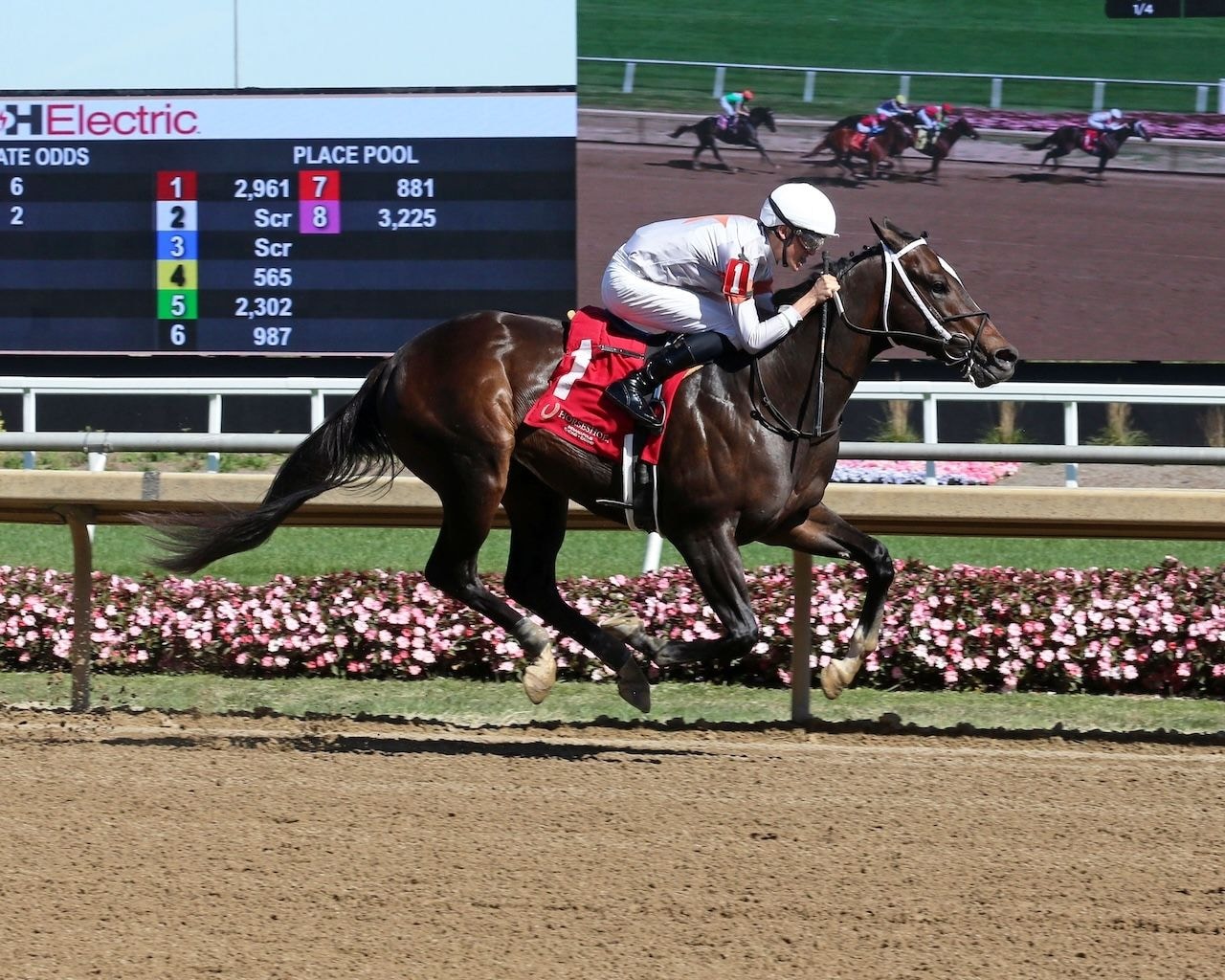 Shan wins at Horseshoe Indianapolis.