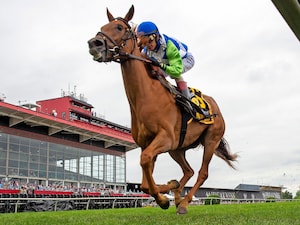 She Feels Pretty (Photo by Maryland Jockey Club/Jerry Dzierwinski)