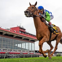 She Feels Pretty (Photo by Maryland Jockey Club/Jerry Dzierwinski)