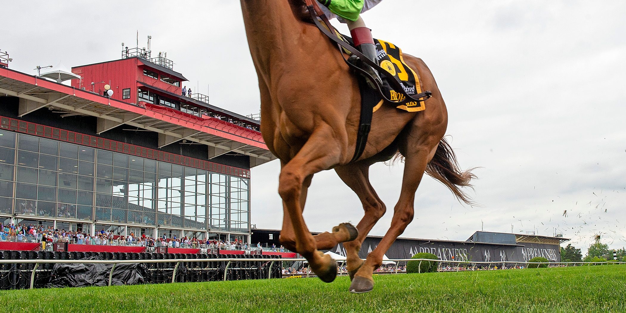 She Feels Pretty (Photo by Maryland Jockey Club/Jerry Dzierwinski)