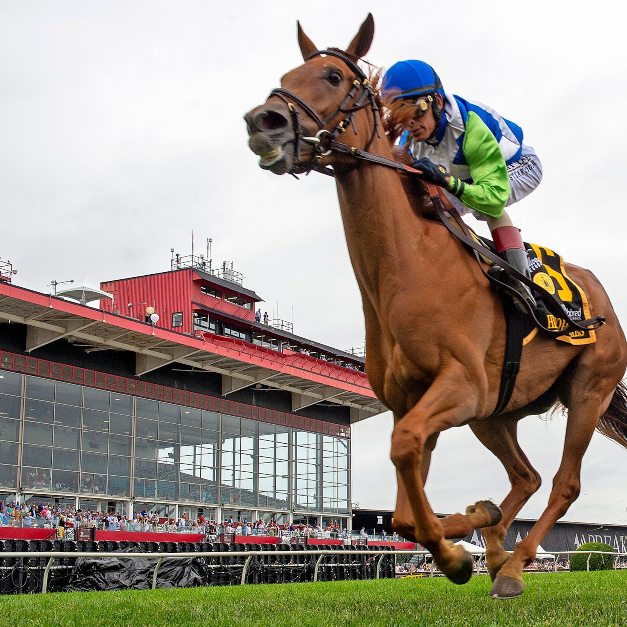 She Feels Pretty (Photo by Maryland Jockey Club/Jerry Dzierwinski)