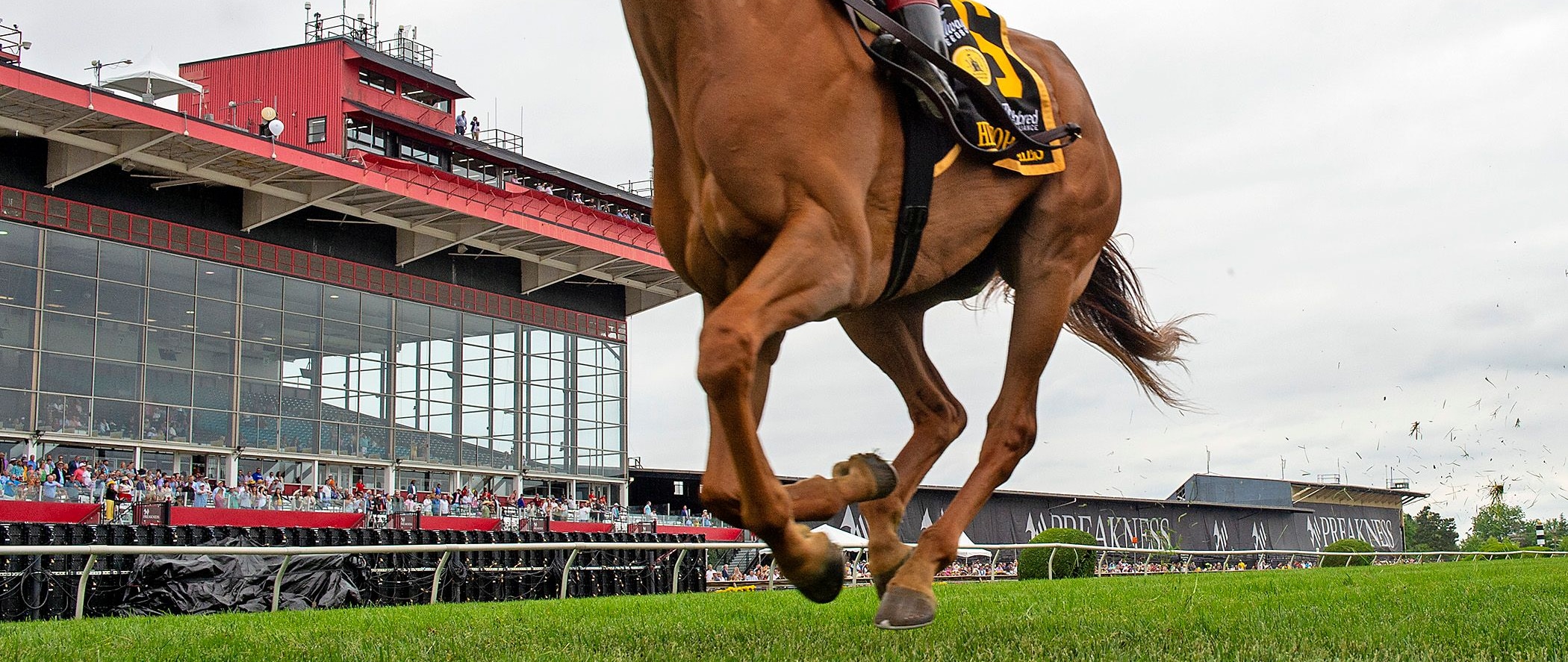 She Feels Pretty (Photo by Maryland Jockey Club/Jerry Dzierwinski)