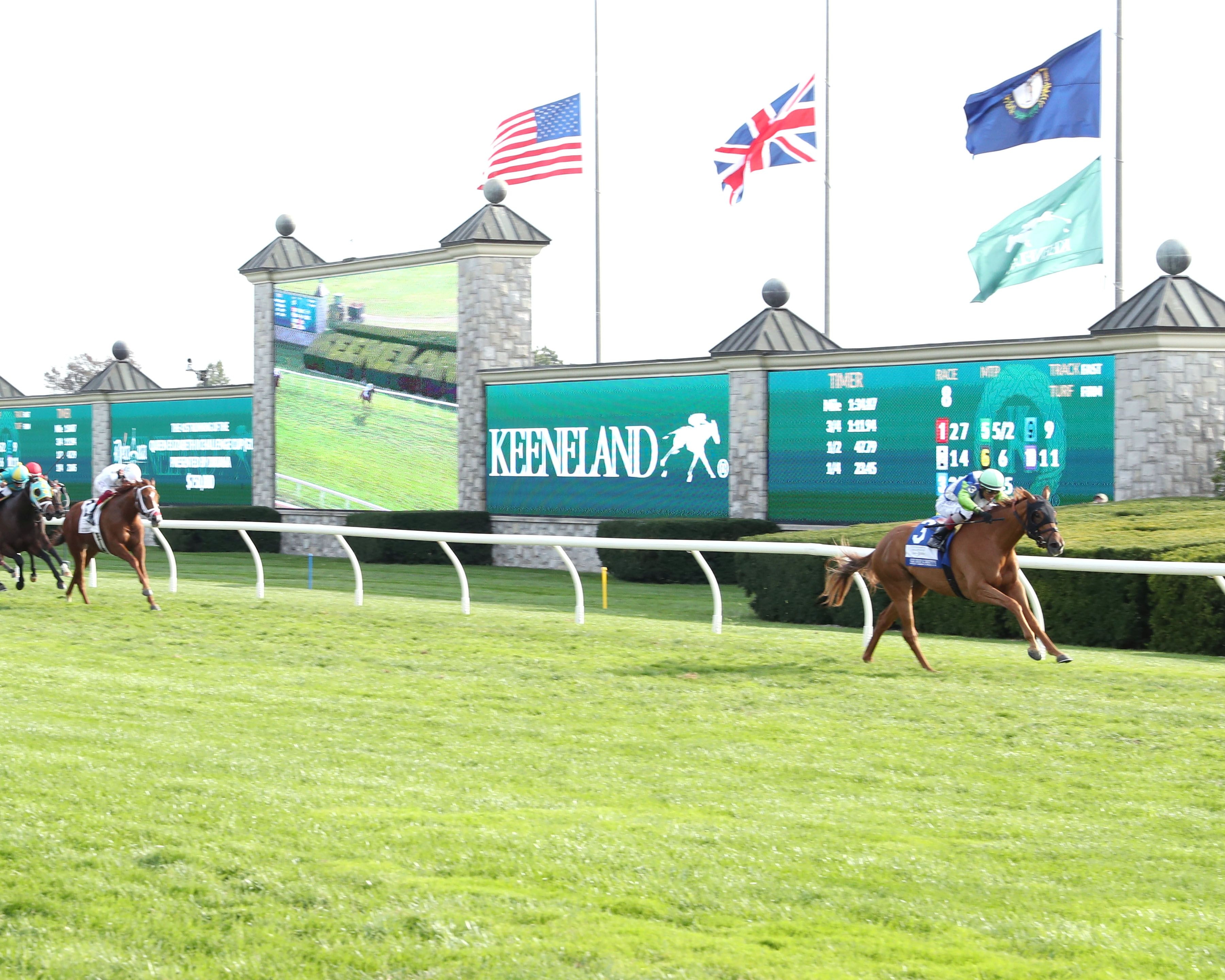 She Feels Pretty runs away with the Queen Elizabeth II Challenge Cup