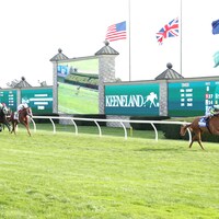 She Feels Pretty runs away with the Queen Elizabeth II Challenge Cup