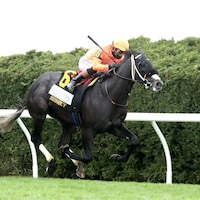 Shisospicy wins the Limestone Stakes at Keeneland. 