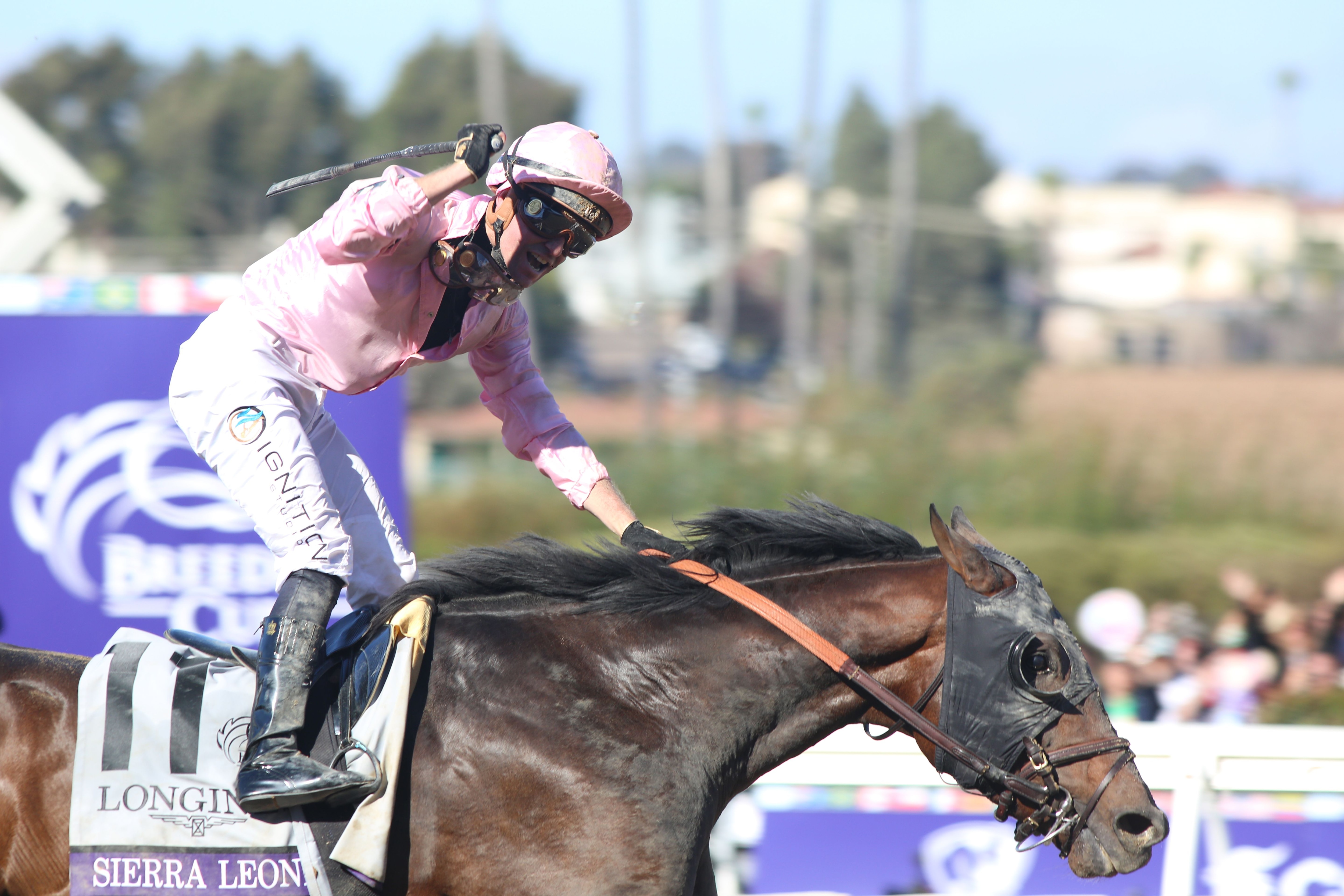 Sierra Leone wins 2024 Breeders Cup Classic (Photo by Horsephotos.com)