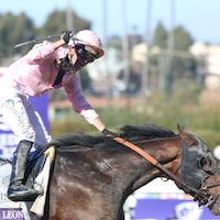 Sierra Leone wins 2024 Breeders Cup Classic (Photo by Horsephotos.com)