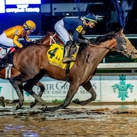 Sierra Leone winning the Risen Star (G2) at Fair Grounds (Photo by Hodges Photography/Lou Hodges, Jr.)