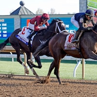 Sierra Leone wins the 2024 Blue Grass (G1) at Keeneland