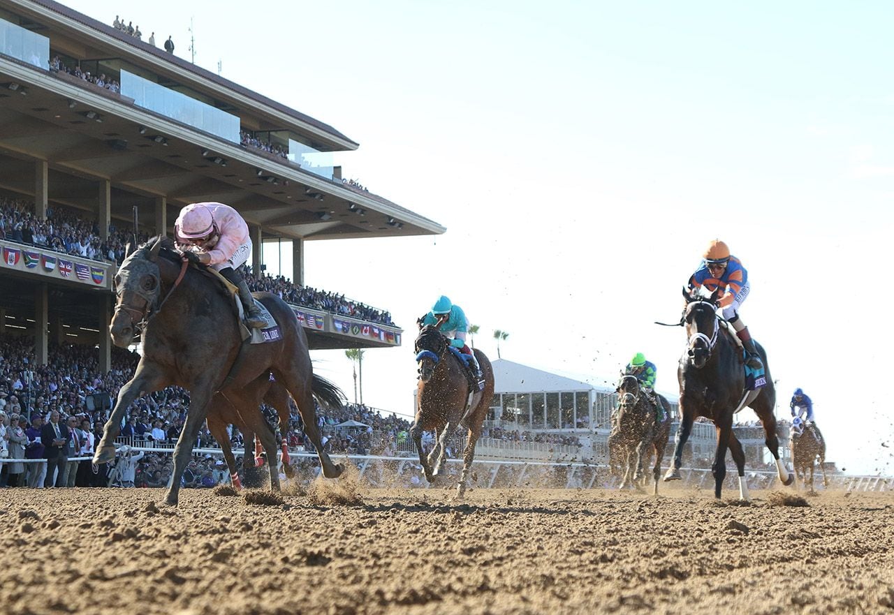 Sierra Leone wins the Breeders' Cup Classic