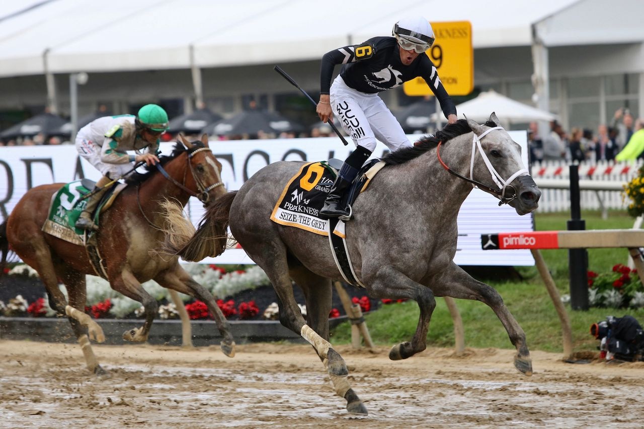 Seize the Grey wins the 2024 Preakness S. at Pimlico