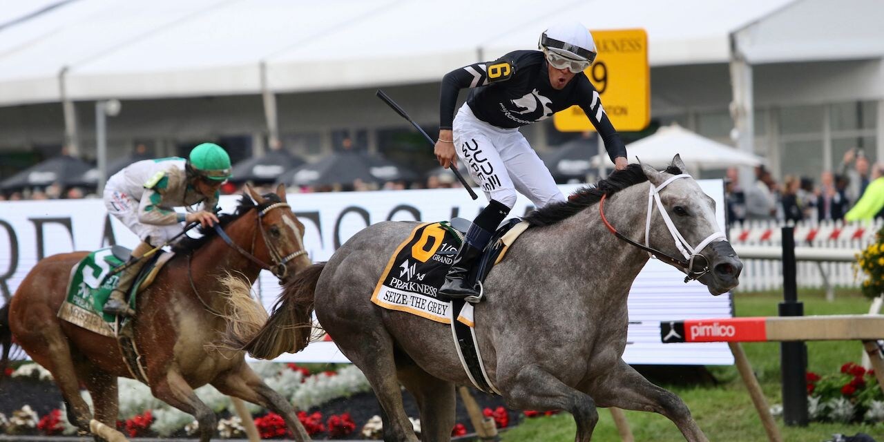 Seize the Grey wins the 2024 Preakness S. at Pimlico