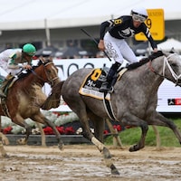 Seize the Grey wins the 2024 Preakness S. at Pimlico