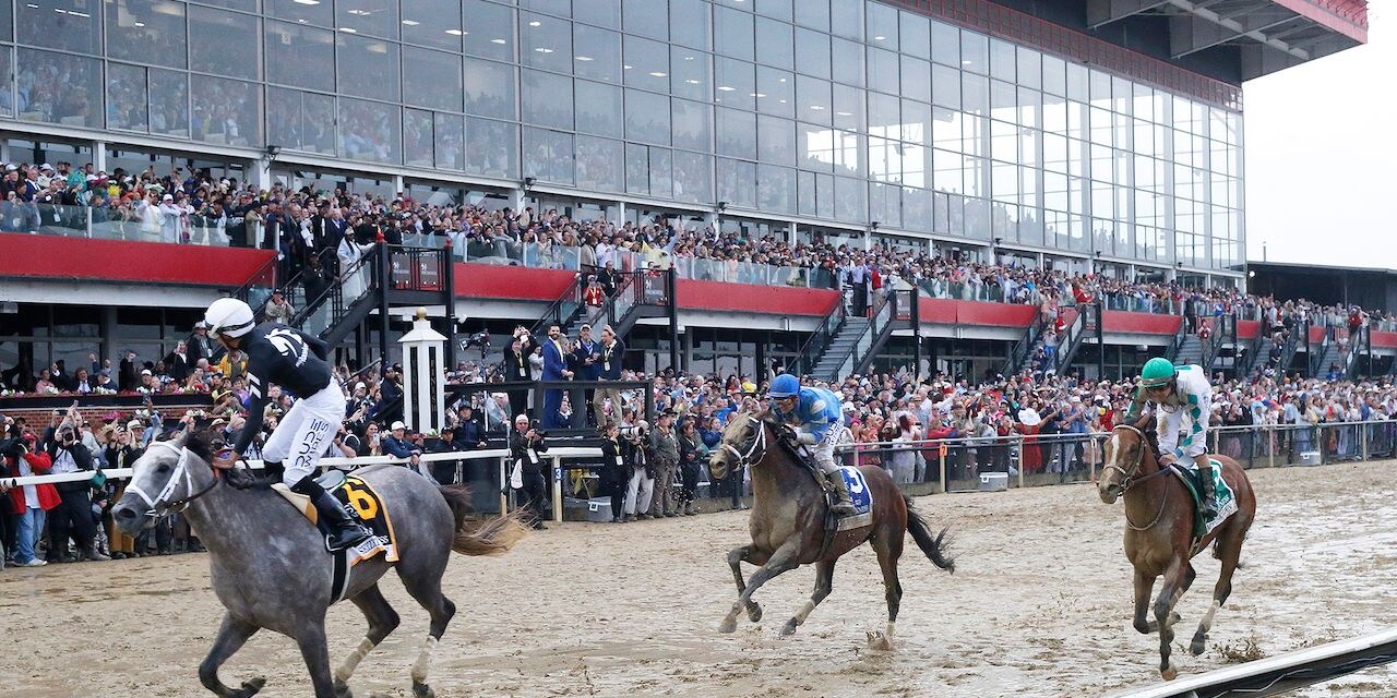 Seize the Grey wins the 2024 Preakness S. at Pimlico (Photo by Horsephotos.com)
