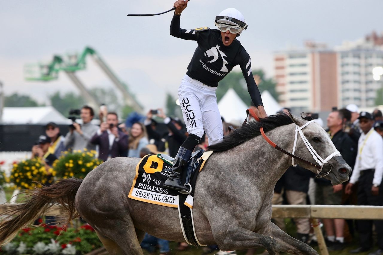 Seize the Grey wins the 2024 Preakness S. at Pimlico