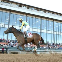 Silent Tactic wins the Southwest Stakes at Oaklawn Park.