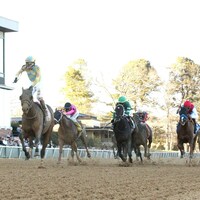 Silent Tactic wins the Southwest Stakes at Oaklawn Park.