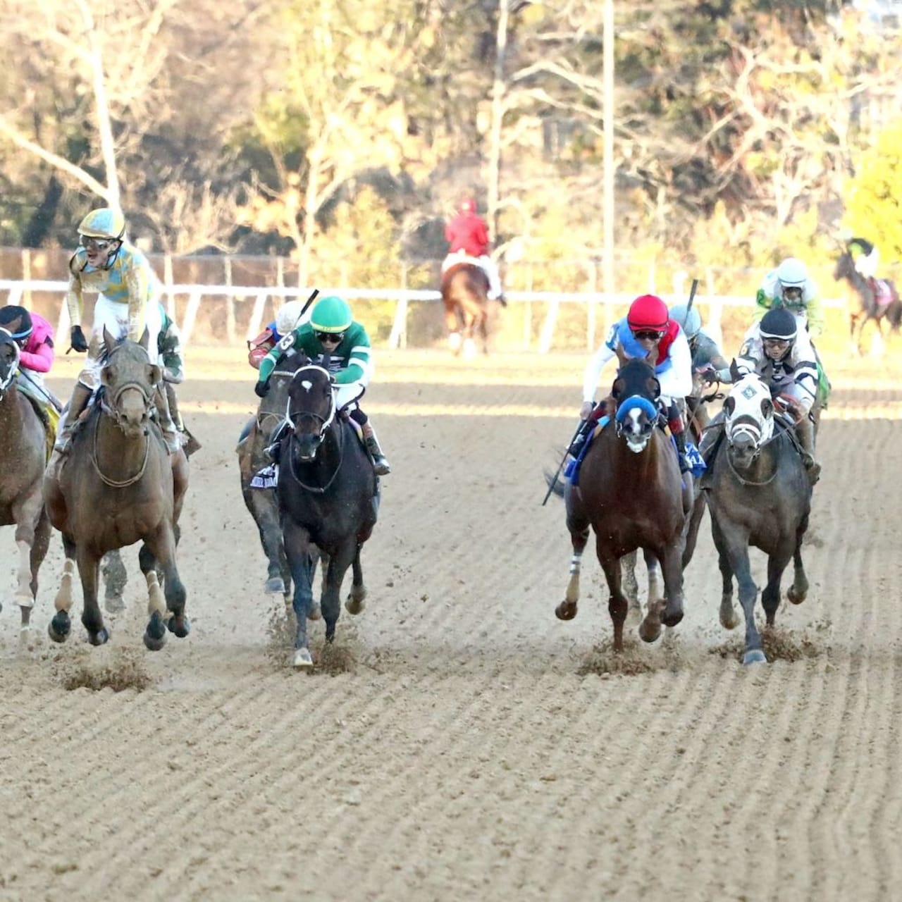 Silent Tactic wins the Southwest Stakes at Oaklawn Park.