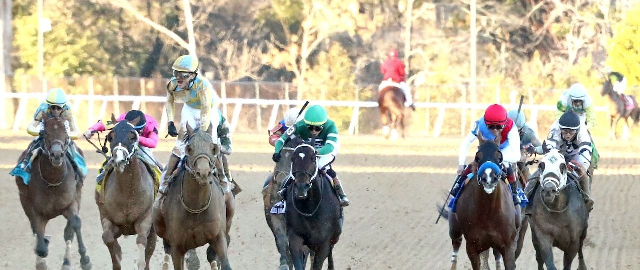 Silent Tactic wins the Southwest Stakes at Oaklawn Park.