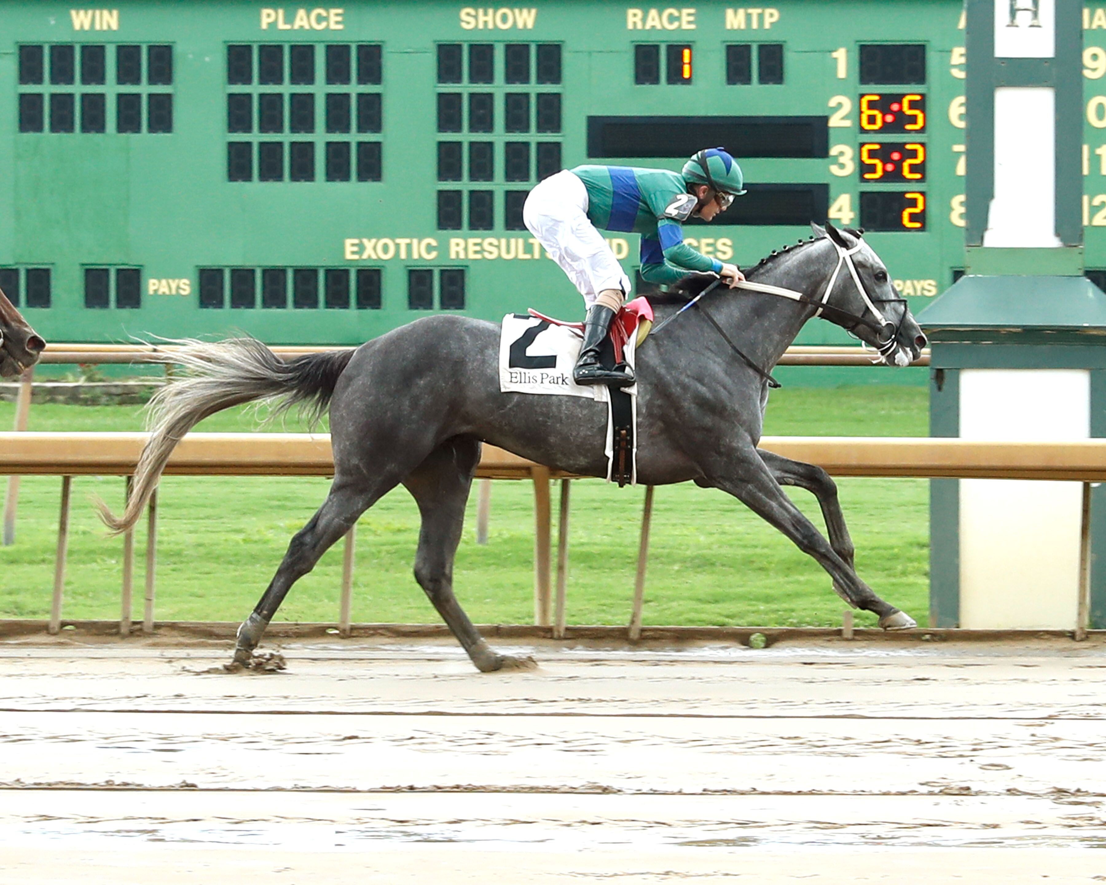 Sitka wins at Ellis Park.