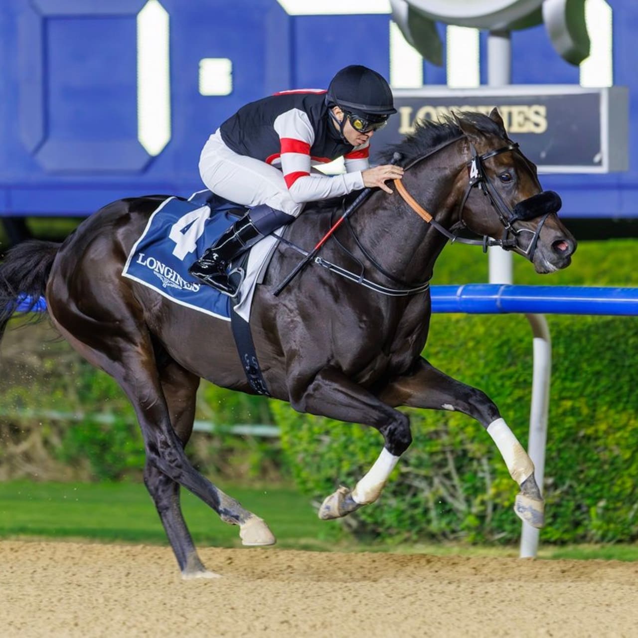 Six Speed wins the UAE 2000 Guineas (G3) at Meydan in Dubai