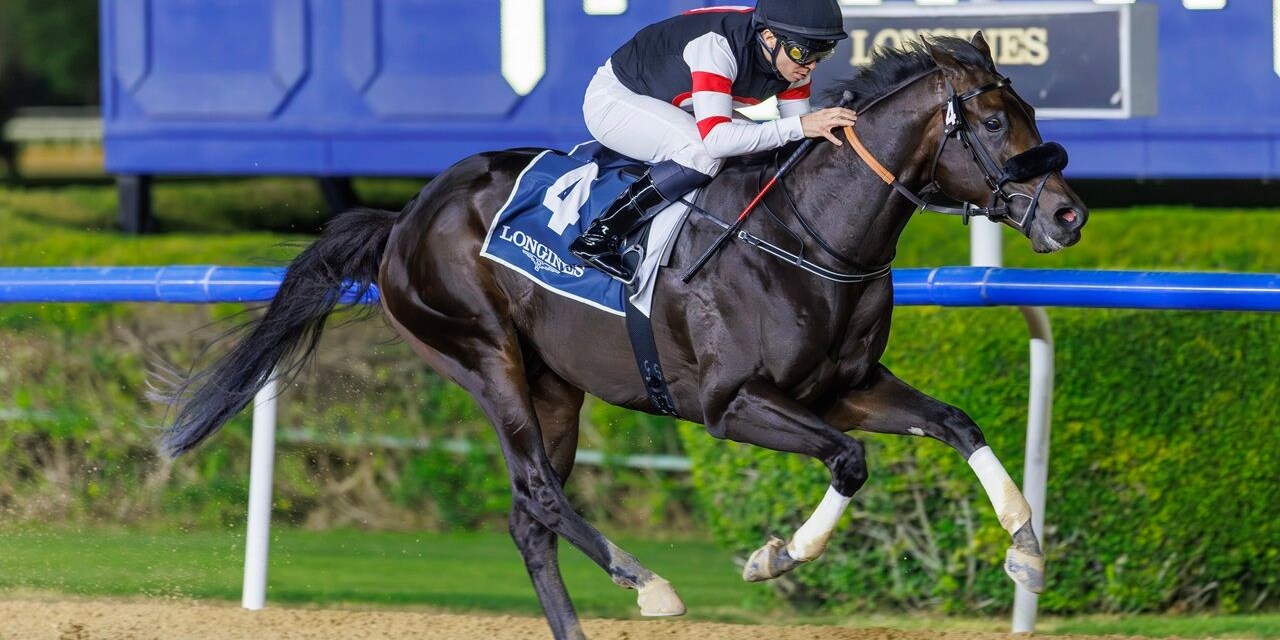 Six Speed wins the UAE 2000 Guineas (G3) at Meydan in Dubai