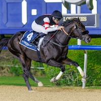 Six Speed wins the UAE 2000 Guineas (G3) at Meydan in Dubai