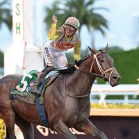 Skippylongstocking wins the Pegasus World Cup at Gulfstream Park.