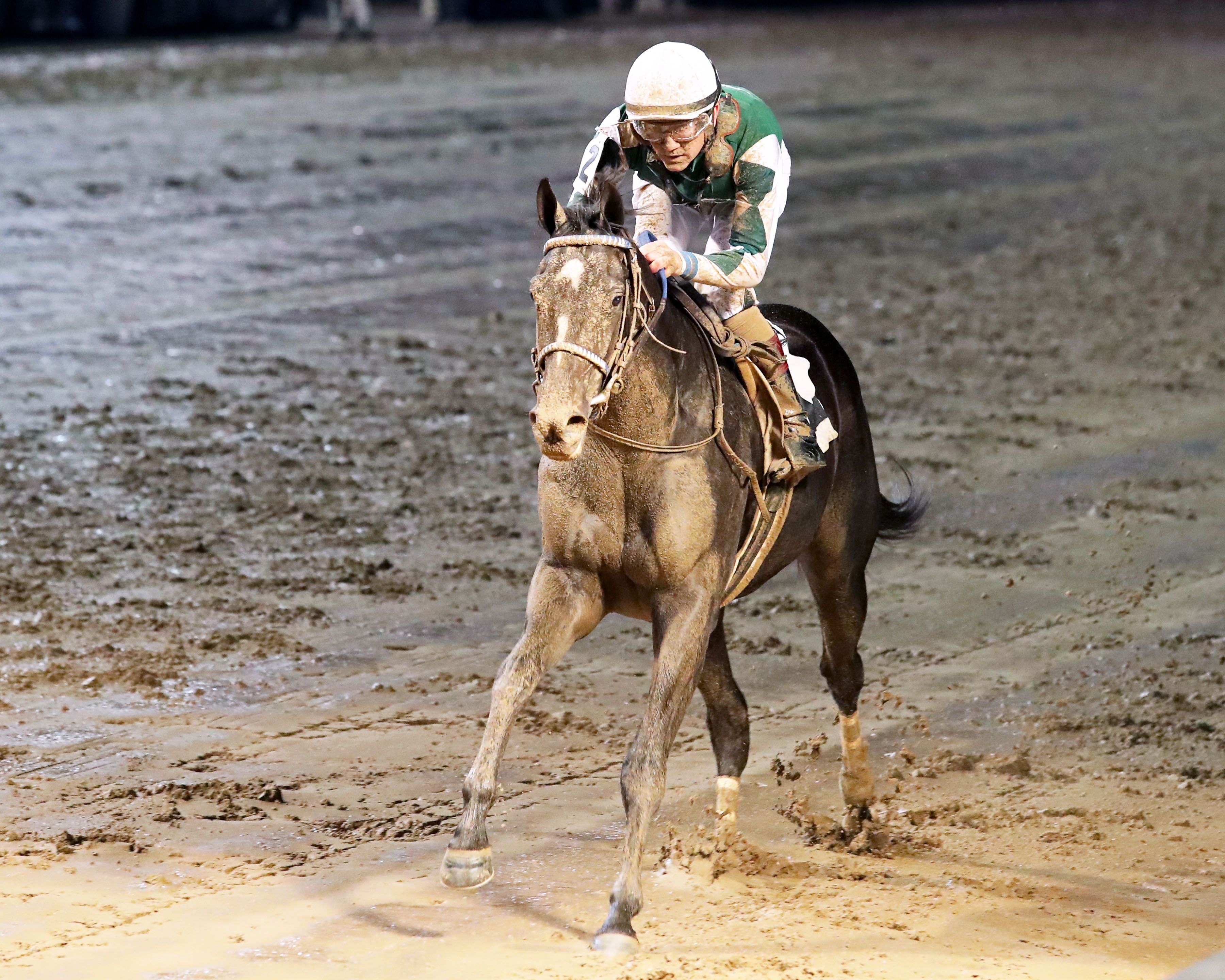 Sleepingonfreedom wins at Churchill Downs. 
