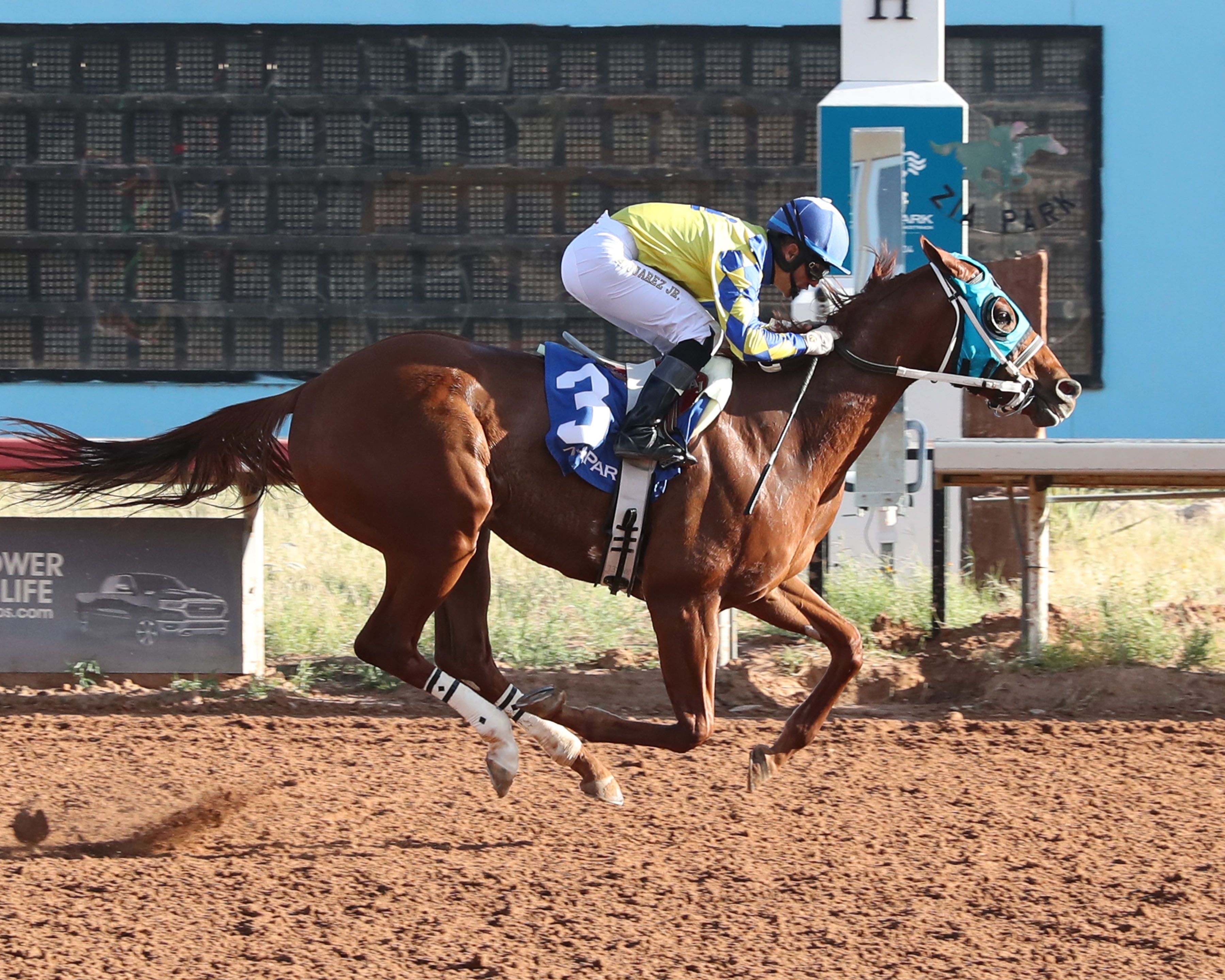 Smash it wins the Zia Park Juvenile S. at Zia Park.