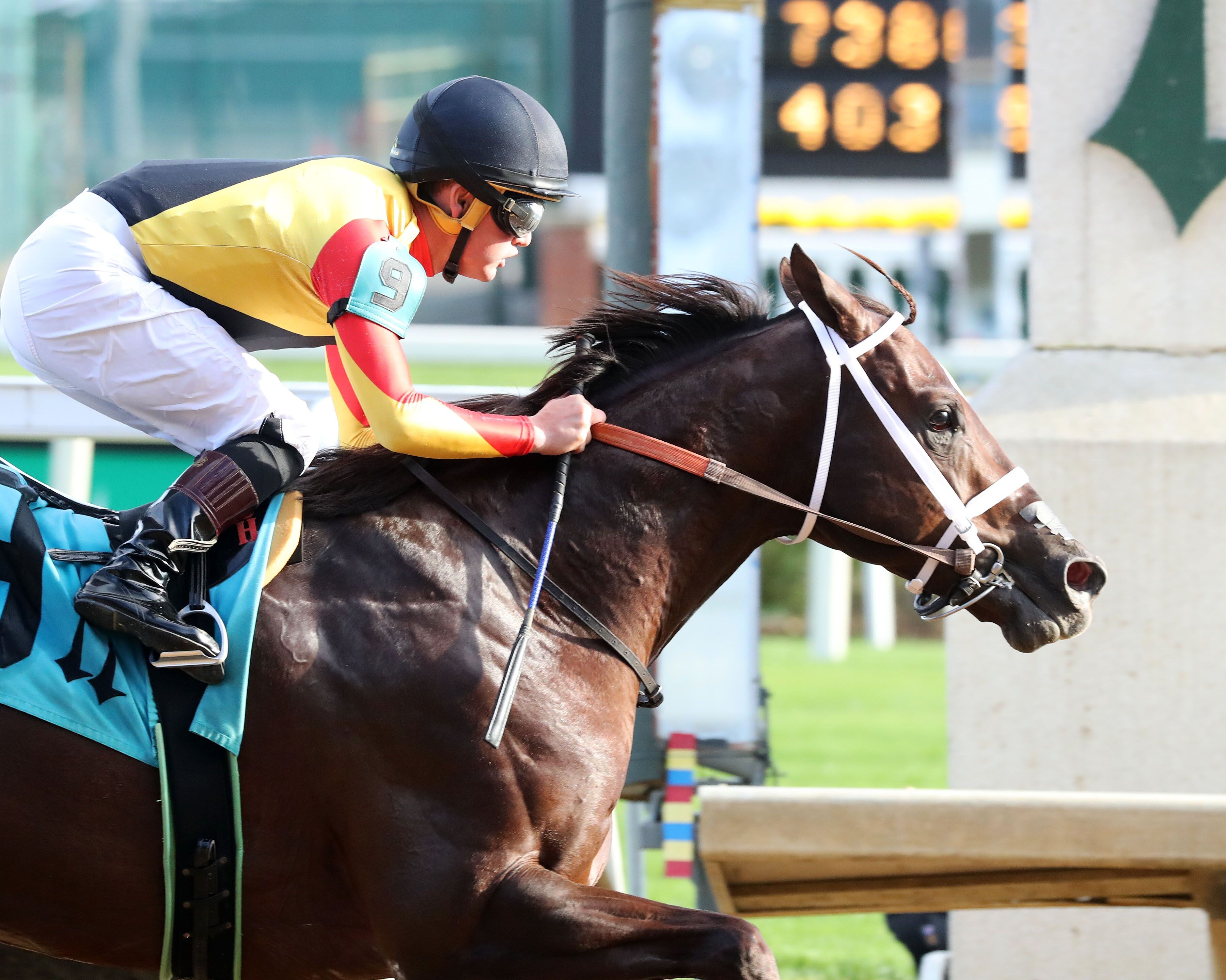 Smoken Wicked wins at Churchill Downs. (Photo by Coady Media/Churchill Downs)