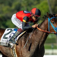 So Happy wins the San Vicente Stakes at Santa Anita.