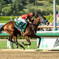 So Happy wins the Santa Anita Derby at Santa Anita.