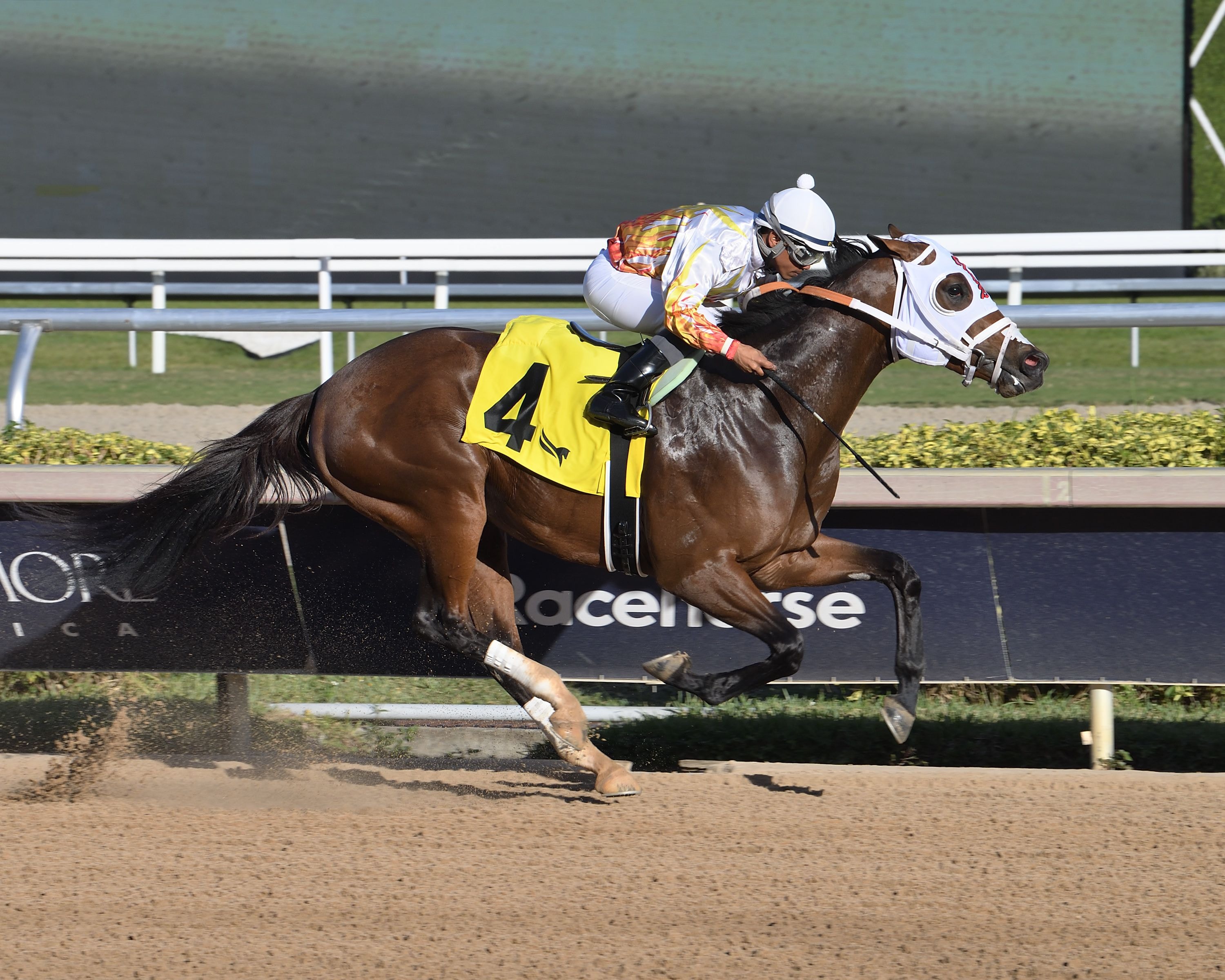 Solid Left wins at Aqueduct.