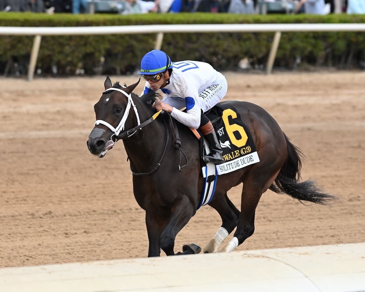Solitude Dude wins the Swale Stakes at Gulfstream Park.