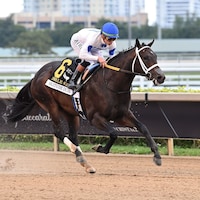 Solitude Dude wins the Swale Stakes at Gulfstream Park. 