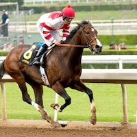 Songbird (Photo by Benoit Photo)