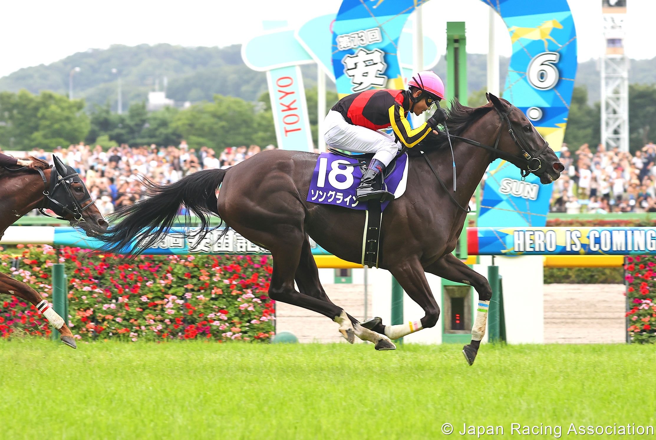 Songline winning the 2023 Yasuda Kinen (G1) in Japan (Photo courtesy of the Japan Racing Association)