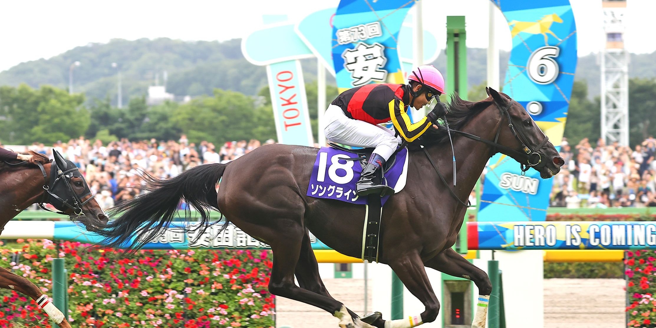 Songline winning the 2023 Yasuda Kinen (G1) in Japan (Photo courtesy of the Japan Racing Association)