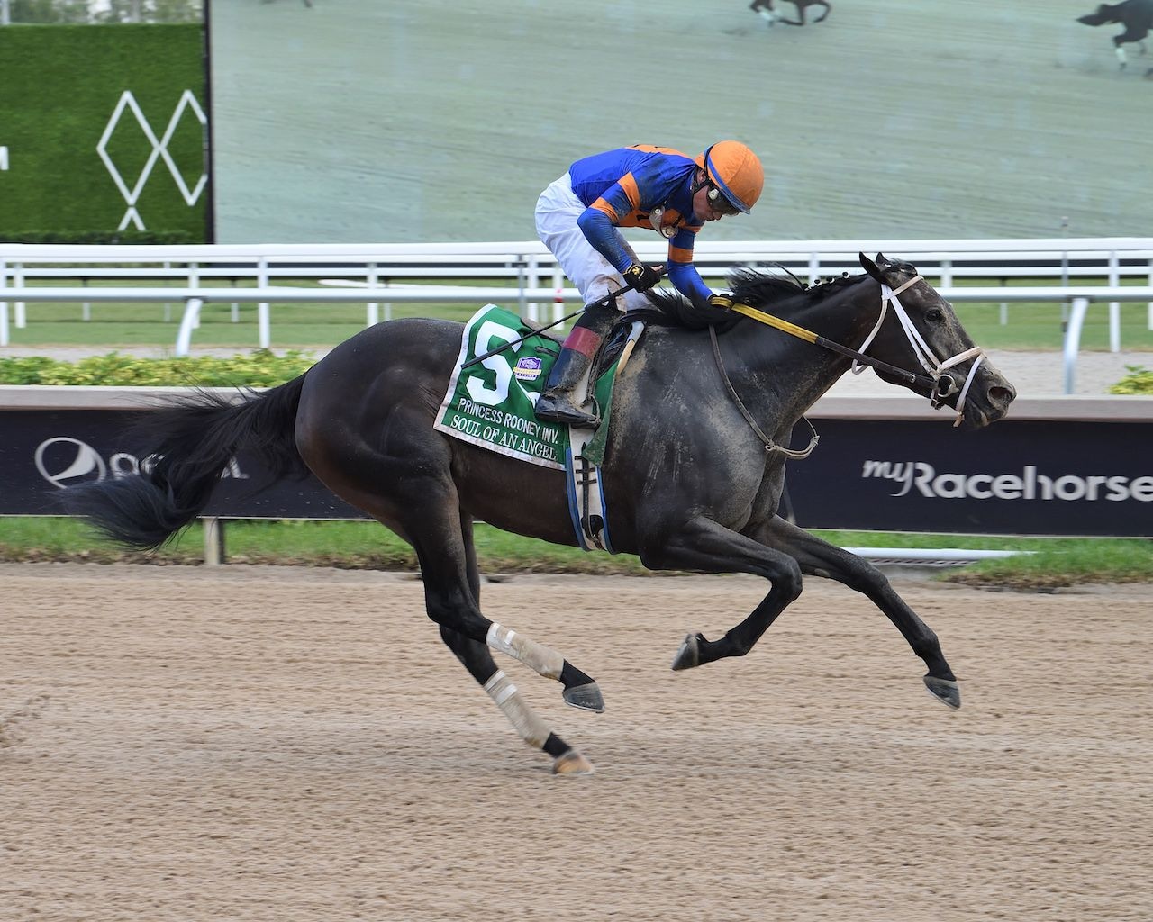 Soul of an Angel winning the Princess Rooney (G3) at Gulfstream Park (Photo by Coglianese Photos/Lauren King)
