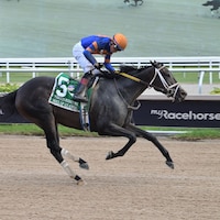 Soul of an Angel winning the Princess Rooney (G3) at Gulfstream Park (Photo by Coglianese Photos/Lauren King)