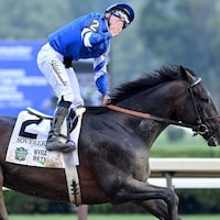 Sovereignty wins the 2025 Belmont Stakes at Saratoga.