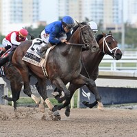 Sovereignty wins the Fountain of Youth at Gulfstream Park.