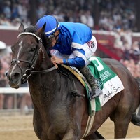 Sovereignty wins the 2025 Jim Dandy at Saratoga.